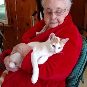 Meet your Posher, Lorelei